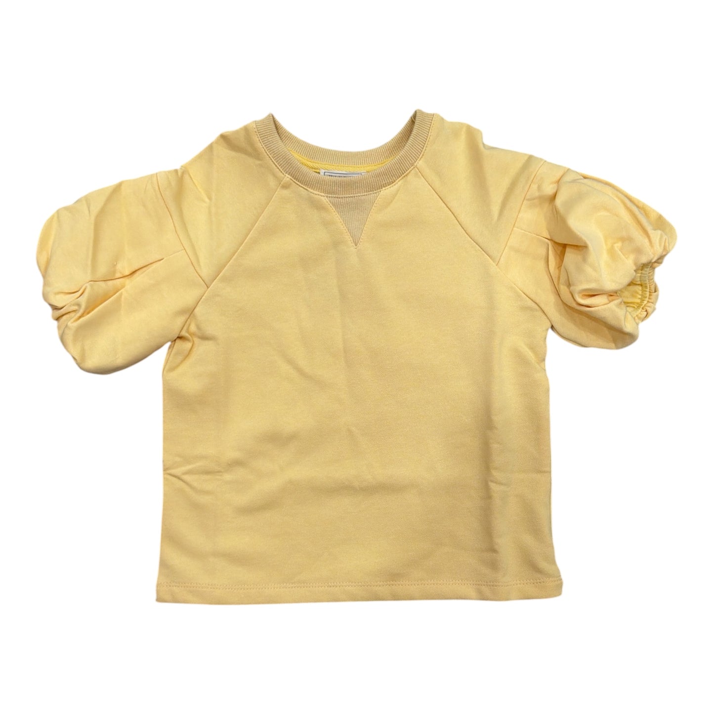 Pleat Puff Sleeve Top