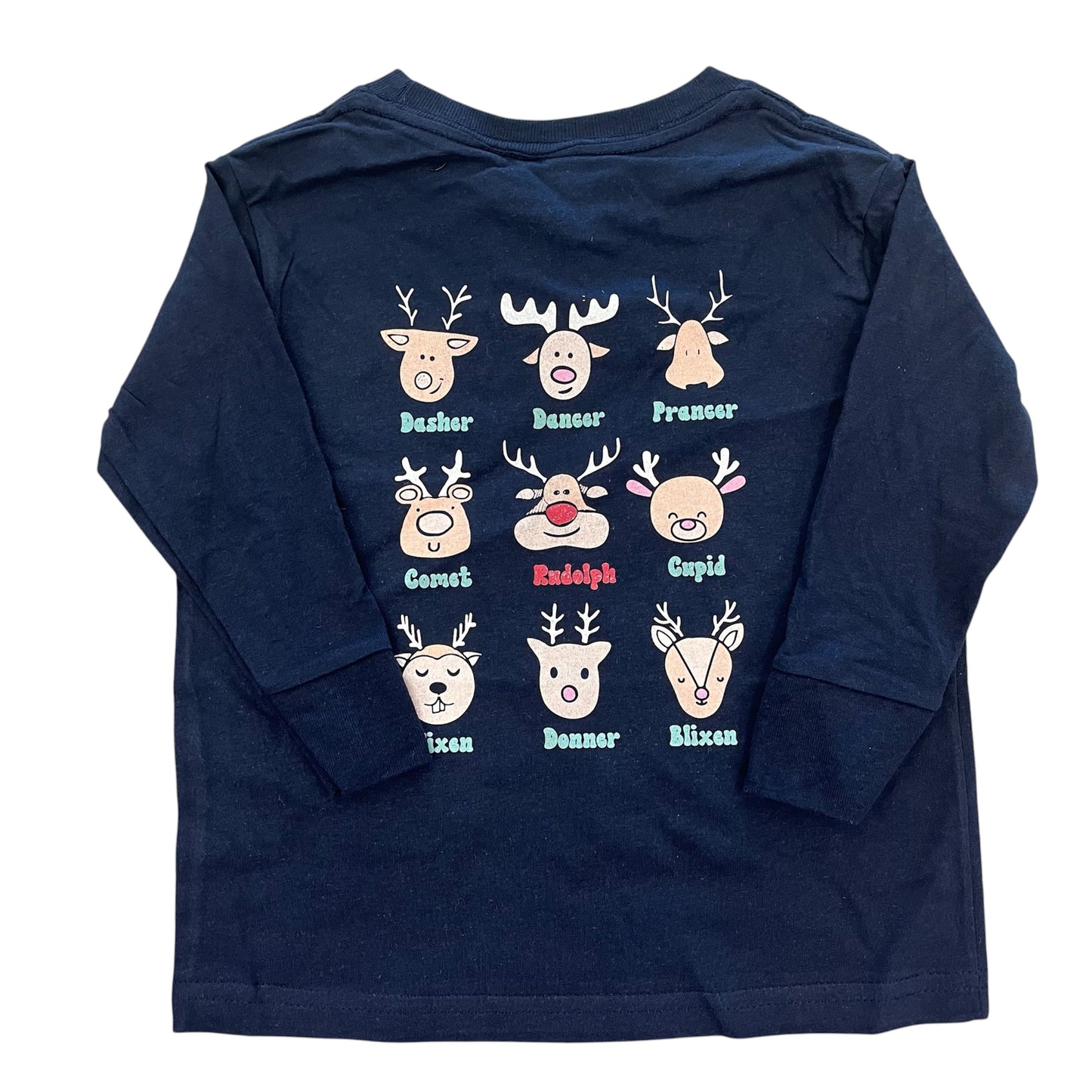Santa's Reindeer