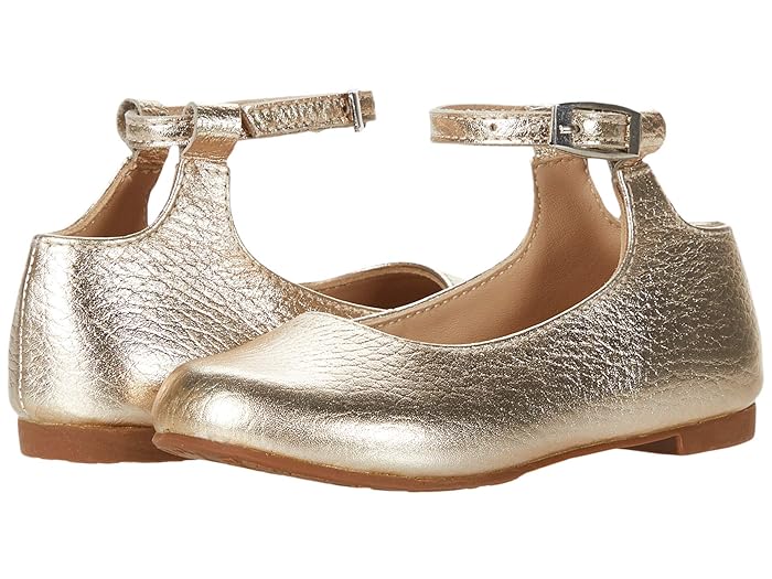 Celina Flats