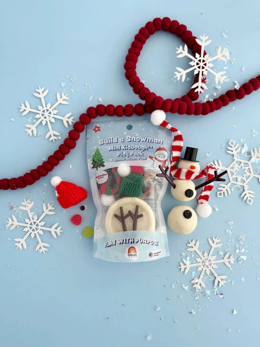 Build a Snowman Kit