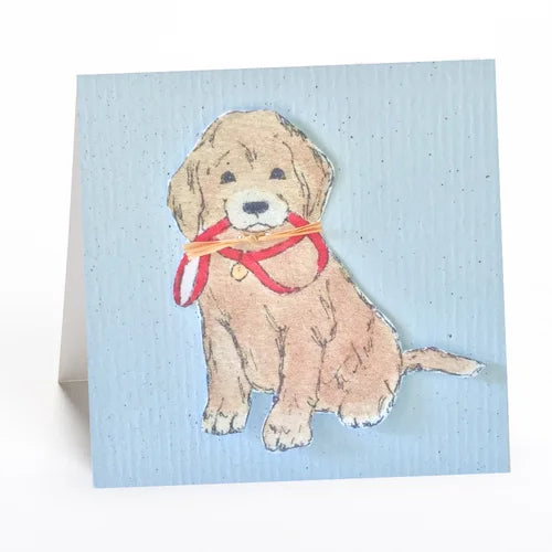 Gift Enclosure Card
